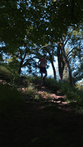 Trail des Forts 2024